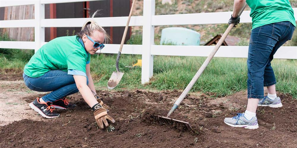 Easterseals Colorado Volunteer Day