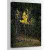 Picture of Fall Solitude 16x24 *D