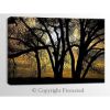 0001235_cottonwoods-at-dusk-48x32-d.jpeg