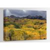 Picture of Kebler Pass 36x24 *D