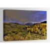 Picture of Real Gold of Colorado 36x24 *D