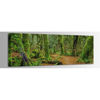 Picture of Hall of Mosses 60x20 *D
