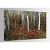 Picture of A Special Place in the Forest 48x32 *D