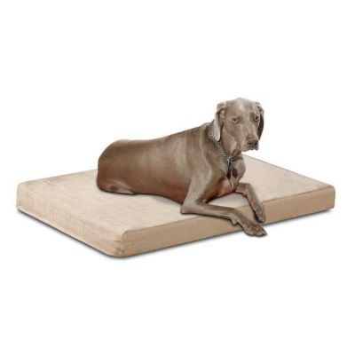 0008743_health-care-memory-foam-pet-bed-suede.jpeg