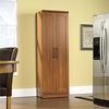 Picture of Homeplus Storage Cabinet Sienna Oak * D