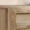 Picture of Dakota Pass 4-Drawer Chest Craftsman Oak * D