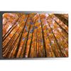 Picture of Orange Grove 32x48 *D
