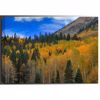Picture of Autumn Dream 24x36 *D
