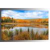 Picture of Woods Lake Reflection 32x48 *D