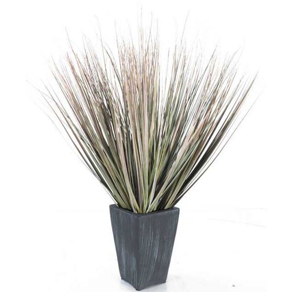 Picture of 28in Fall Onion Grass