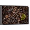 Picture of Forest Floor 24x16 *D