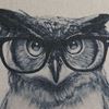 Picture of Studious Owl 18 Inch Pillow *P