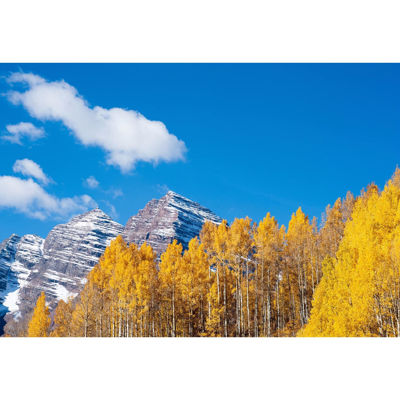 Picture of Maroon Bells In Autumn 32x48 *D