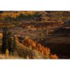 Picture of Crested Butte Autumn 24x36 *D