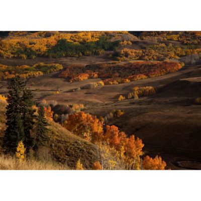 Picture of Crested Butte Autumn 24x36 *D