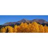 Picture of Autumns Gift 20x60 *D