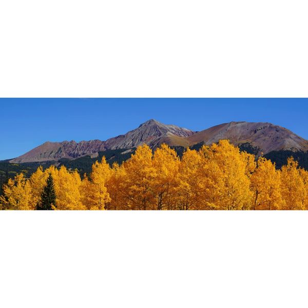 Picture of Autumns Gift 20x60 *D