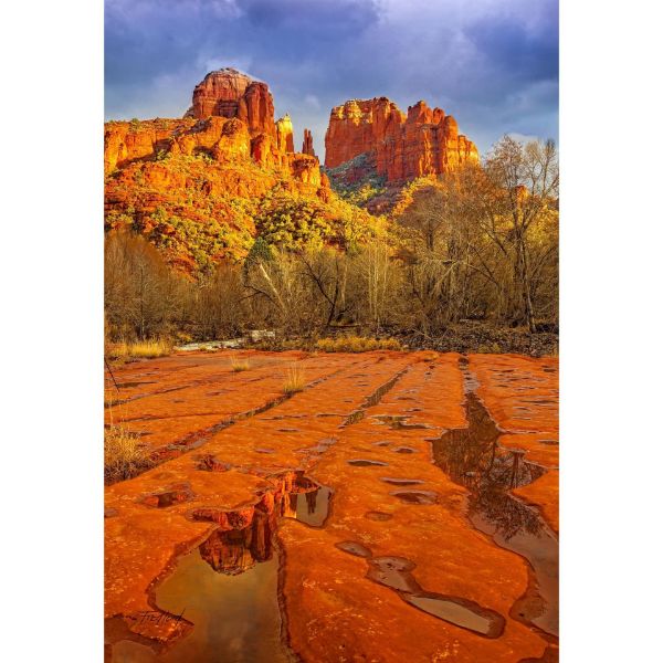 Picture of Cathedral Rocks Sedona AZ 32x48 *D