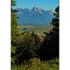 Picture of Tetons Sunrise 24x36 *D