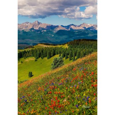 Picture of Shrine Pass Holy Cross 24x36 *D