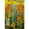 Picture of Dalmatian Autumn 32x48 *D