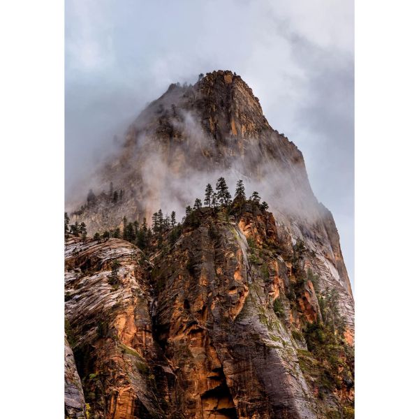 Picture of Zion Mountain 36x24 *D