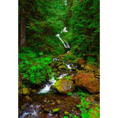 Picture of Spring Runoff at Quinault River 24x36 *D