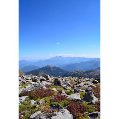 Picture of Longs Tundra At RMNP 32x48 *D