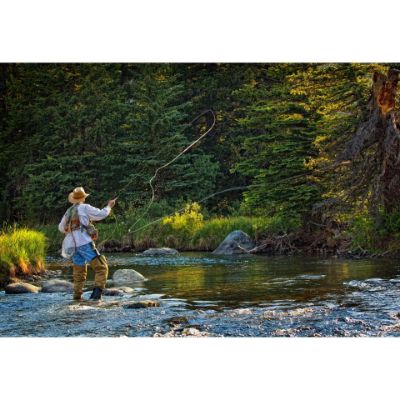 Picture of Fly Fishing Perfection-Color 48x32 *D