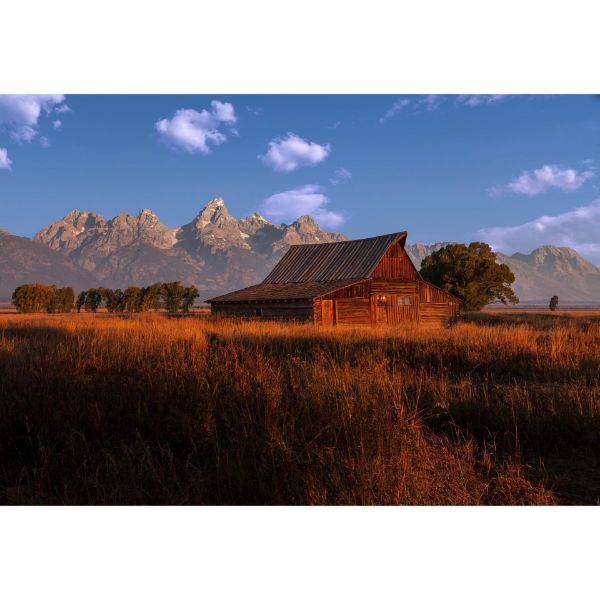 Picture of Fall at the Barn 48X32 *D