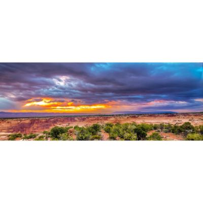 Picture of Storm Over The Desert 36x12 *D