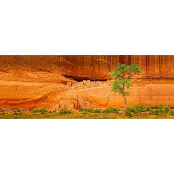 Picture of Canyon de Chelly Whitehouse Ruins 60x20 *D