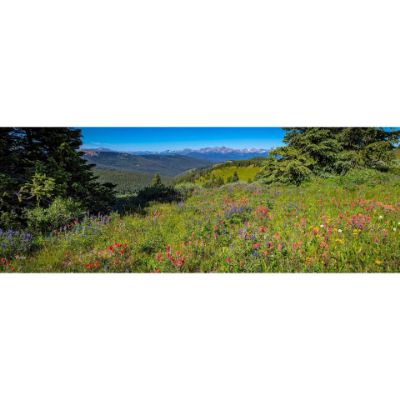 Picture of Shrine Ridge Summer Flowers 60x20 *D