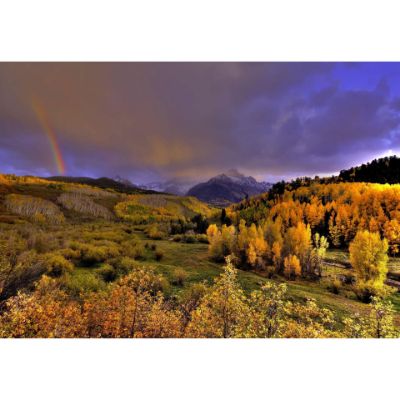 Picture of Real Gold of Colorado 36x24 *D