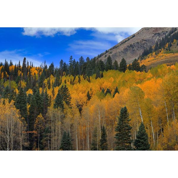Picture of Autumn Dream 24x36 *D