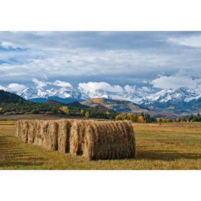 Picture of Colorado Hay Bales 36x24 *D