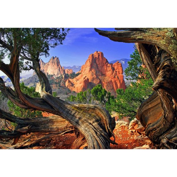 Picture of Framed Garden 48x32 *D