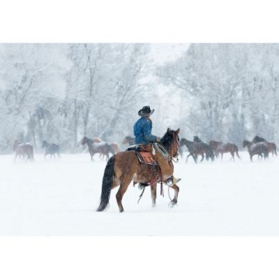 Picture of Snowy Gather 36x24 *D