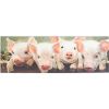 Picture of Pigs Canvas