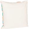 Picture of Sundance Paint Pillow 20 inch *P