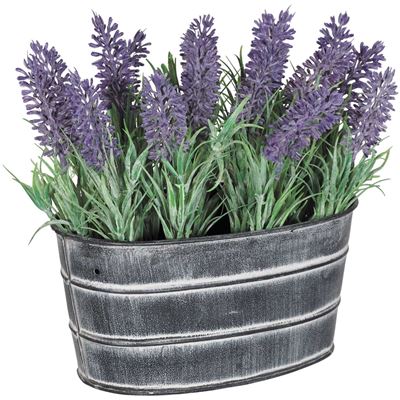 Picture of Lavender in Metal Pot