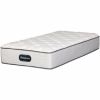 0107894_ogden-twin-mattress.jpeg