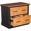 Picture of Toulouse Lateral File