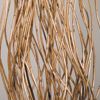 Picture of Twist Willow With Base