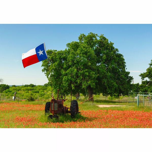 Picture of Old Texas Tractor 32x48 *D