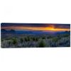 Picture of Sotol Vista Sunset 20X60 *D