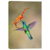 Picture of Fluttering Hummingbird 24X16 *D