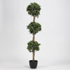 Picture of Bay Leaf 3 Tier Topiary Tree