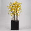 Picture of Aspen Leaf Tree Block