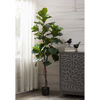 Picture of Faux Tall Ficus Tree